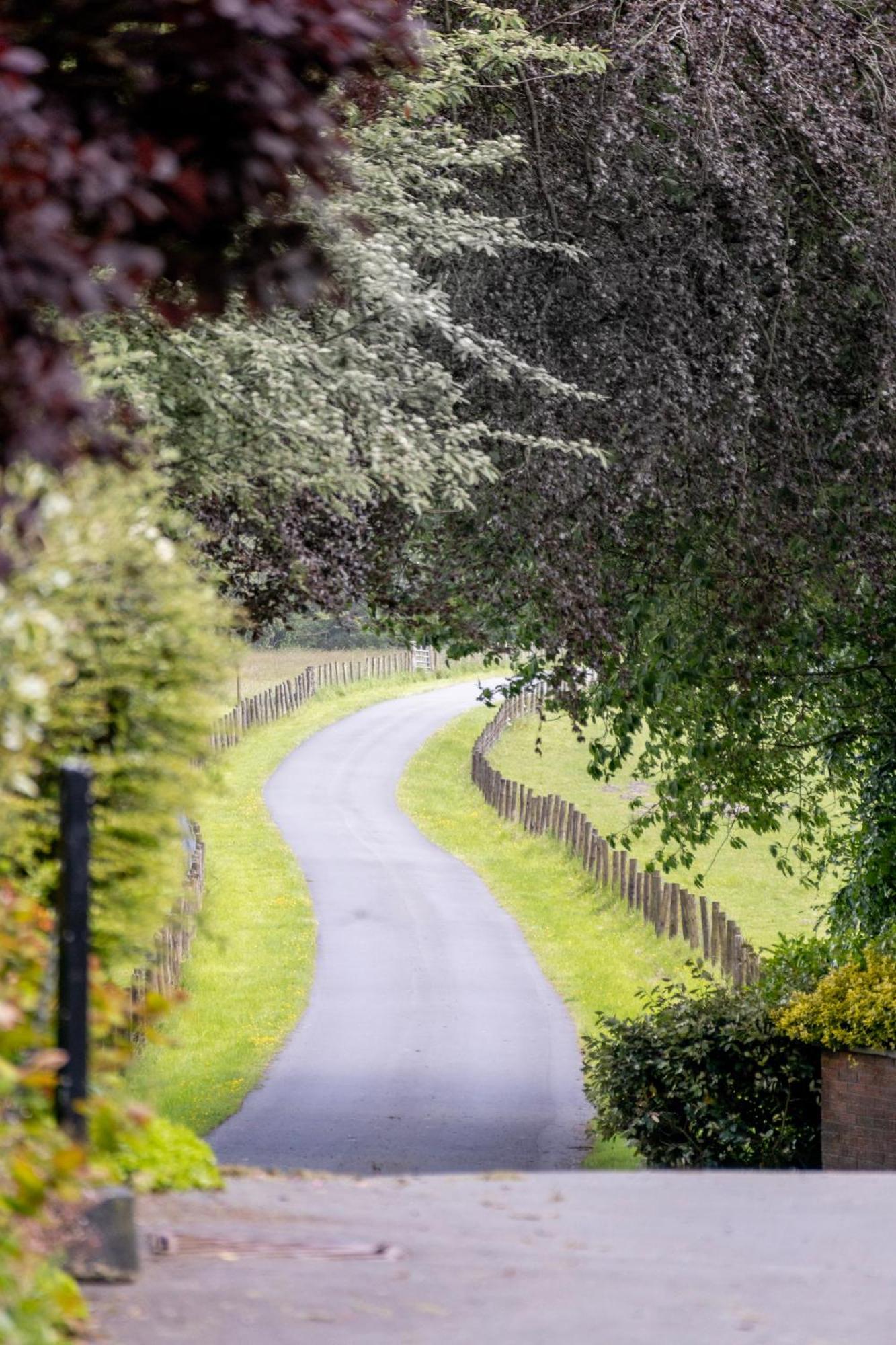 The Falcondale At Lampeter Exterior foto